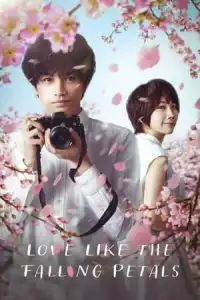 LK21 Nonton Love Like the Falling Petals (My Dearest, Like a Cherry Blossom) (2022) Film Subtitle Indonesia Streaming Movie Download Gratis Online